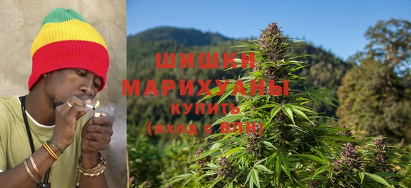 тгк Беломорск
