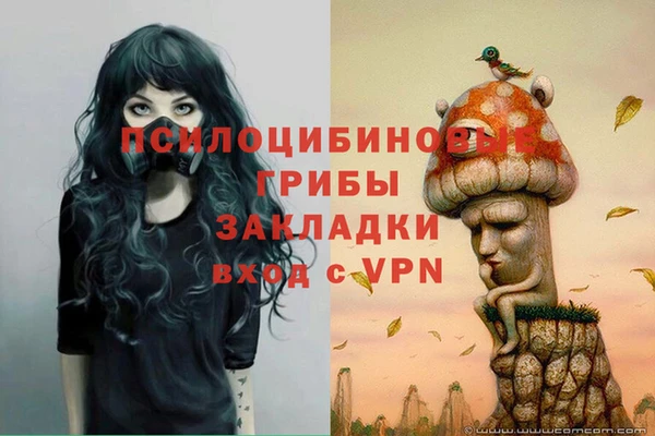 тгк Беломорск