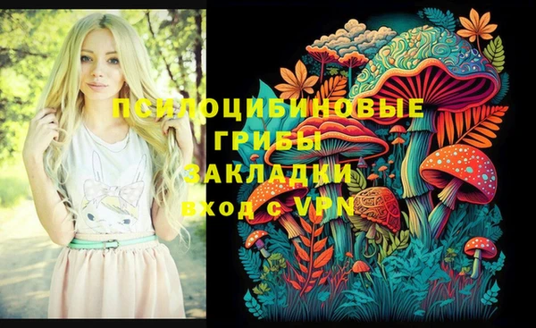 тгк Беломорск